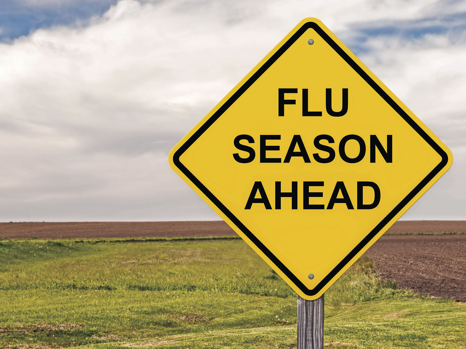 Flu season